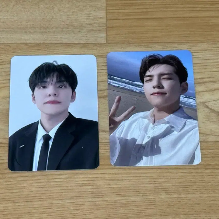 [BUNJANG] DAY6 Young K (Wonpil) Denimals Plush Doll / 24 데니멀즈 필 원가이하 양도 (데이식스 인형,김원필)