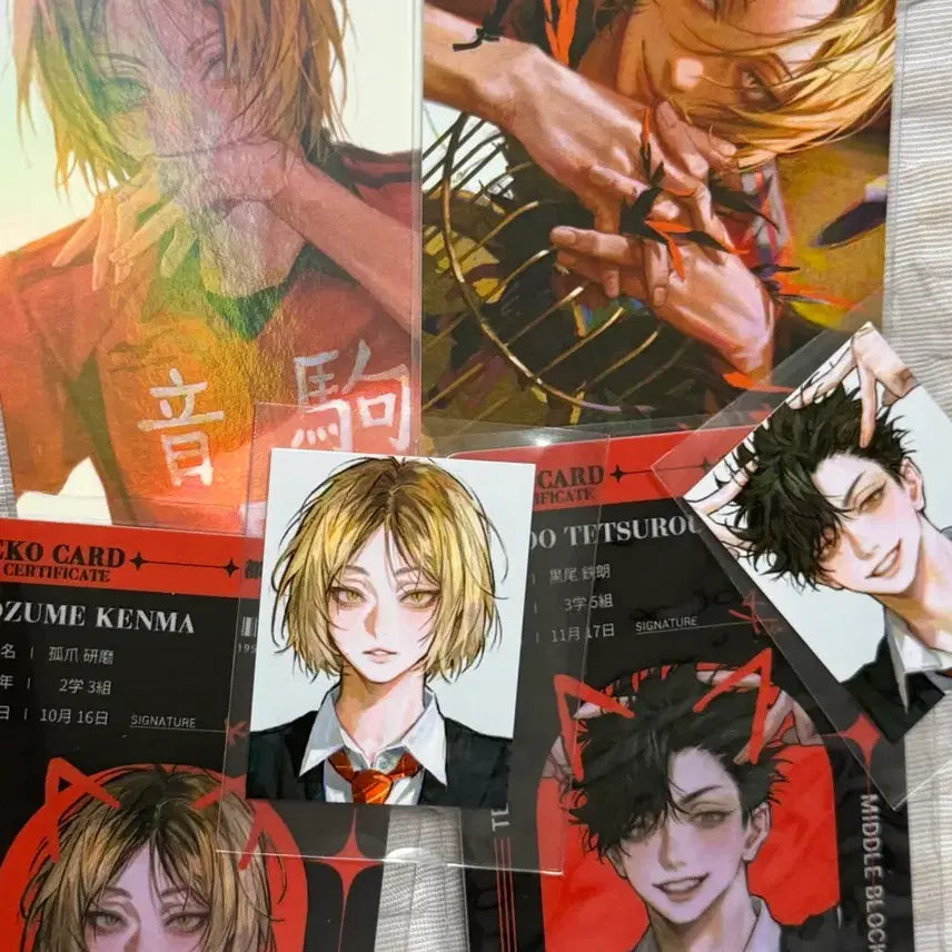 [BUNJANG] HQ!! (Haikyuu!!) Unofficial Merchandise / 영큐님 하이큐 비공굿