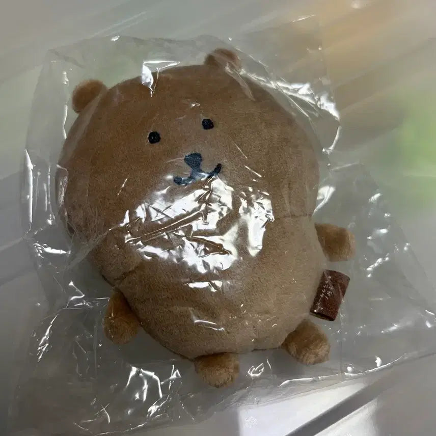 [BUNJANG] Nodding Bear Tanning Bear Mascot / 농담곰 나가노마켓 태닝곰 태닝 농담곰 마스코트 판매 양도