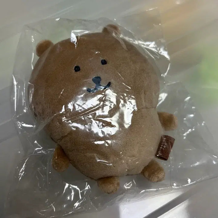 [BUNJANG] Nodding Bear Tanning Bear Mascot / 농담곰 나가노마켓 태닝곰 태닝 농담곰 마스코트 판매 양도