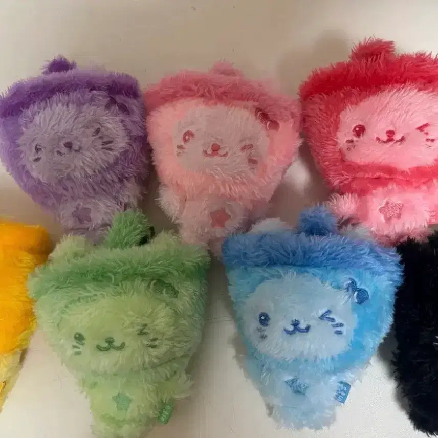 [BUNJANG] Color Wish Doll Bubble Cat Full Color Set Bundle / 컬러위시돌 버블냥 전색상 일괄양도