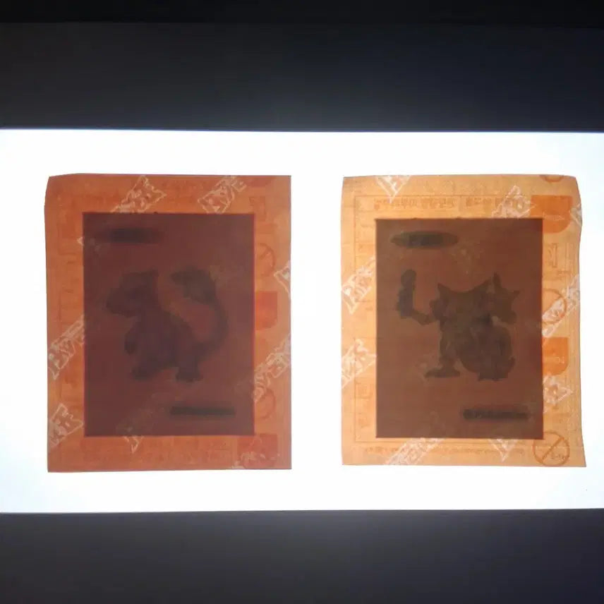 [BUNJANG] Pokemon Sticker Lizard &amp; Yungella / 포켓몬 띠부실 리자드 윤겔라