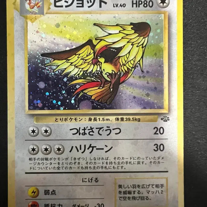 [BUNJANG] Hologram 1st Edition Pidgeotto Pokemon Card / 홀로그램 초판 피죤투 포켓몬카드