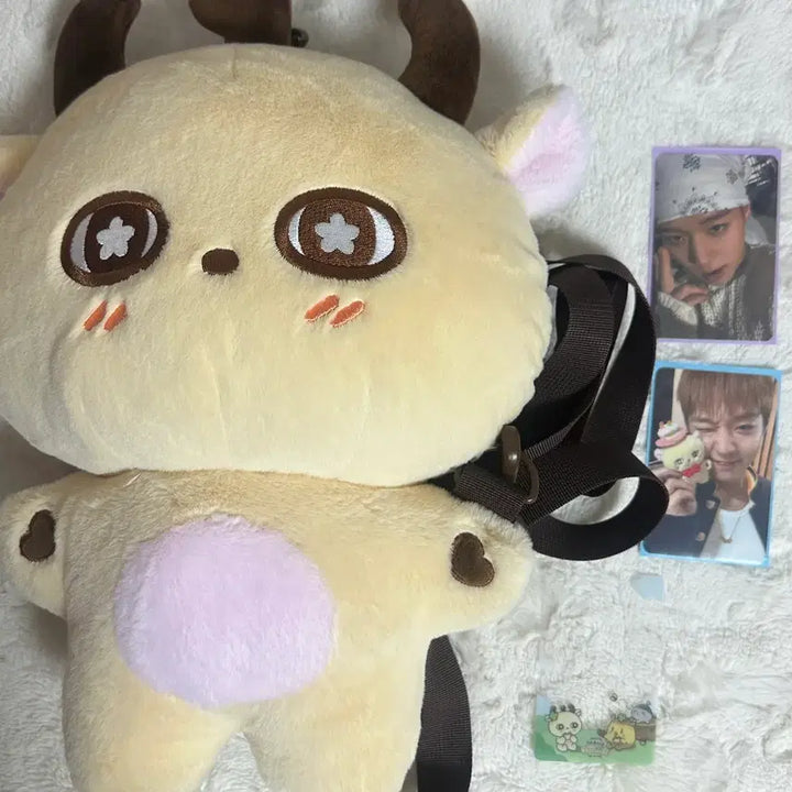 [BUNJANG] Park Jihoon Sosimie Bag Bundle Set / 박지훈 소심이 소심이가방 포카 양도 소심이 팝업 소심이백