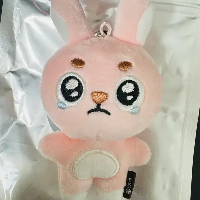[BUNJANG] DAY6 Young K Unfiltered Pil_K Keyring / 새상품 언필터드 필끼 뿌엥필 뿌앵필 시크릿 키링 데멀 원필