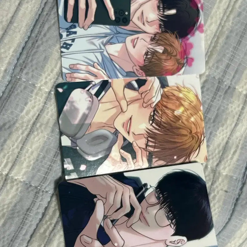 [BUNJANG] Arctic Fox Summer Photocard Bundle Set / 하절기 포카 양도 합니다 북극여우