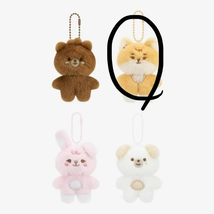 [BUNJANG] Various [Brand Name] Bundle Set / 쁘쁘케 + 쁘방케돈 일괄판매