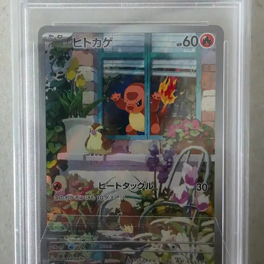 [BUNJANG] 2023 Pokemon Special Deck Window Charmander Card PSA 10 / 2023 포켓몬스터 스페셜덱 창문 파이리 카드 PSA 10