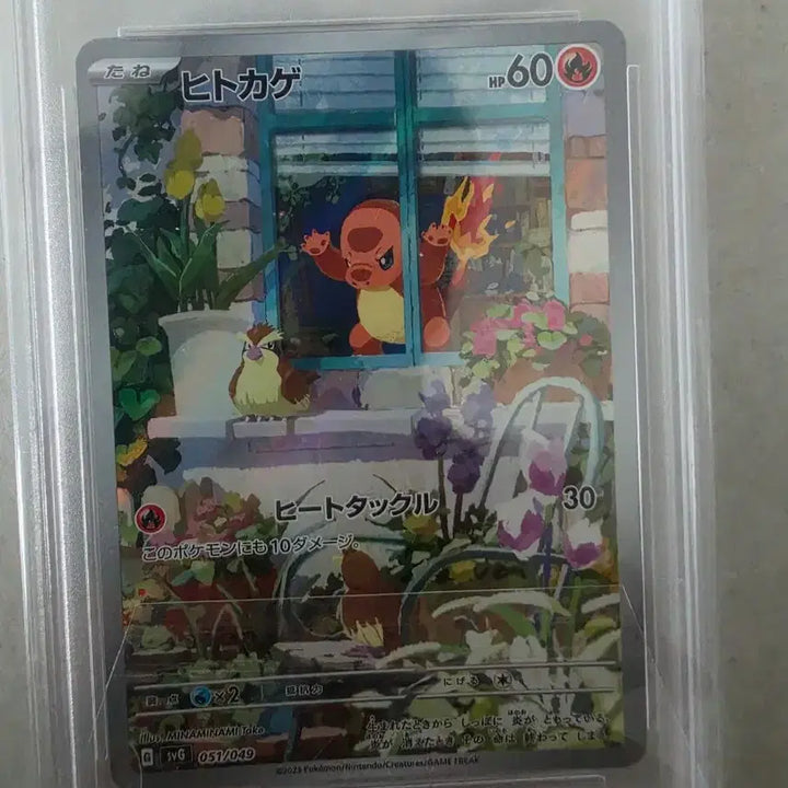 [BUNJANG] 2023 Pokemon Special Deck Window Charmander Card PSA 10 / 2023 포켓몬스터 스페셜덱 창문 파이리 카드 PSA 10