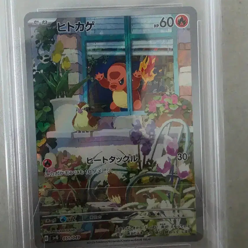 [BUNJANG] 2023 Pokemon Special Deck Window Charmander Card PSA 10 / 2023 포켓몬스터 스페셜덱 창문 파이리 카드 PSA 10