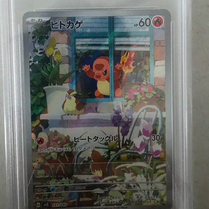 [BUNJANG] 2023 Pokemon Special Deck Window Charmander Card PSA 10 / 2023 포켓몬스터 스페셜덱 창문 파이리 카드 PSA 10