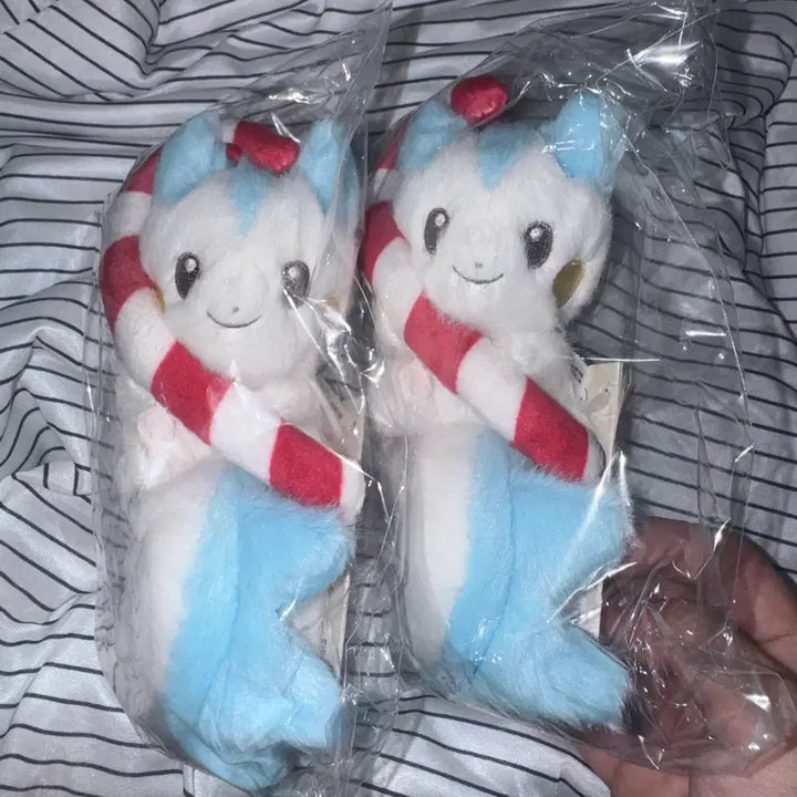 [BUNJANG] Pokemon Center Mascot Pokemon Holiday Blessings Pachirisu / (1개 남음) 포켓몬센터 마스코트 포켓몬 Holiday Blessings 크리스마스 파치리스