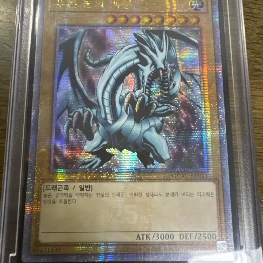 [BUNJANG] Yu-Gi-Oh! Blue-Eyes White Dragon &amp; Red-Eyes Black Dragon 25th Anniversary Quarter Century Cards / 유희왕 푸른눈의 백룡, 붉은눈의 흑룡 25쿼싴