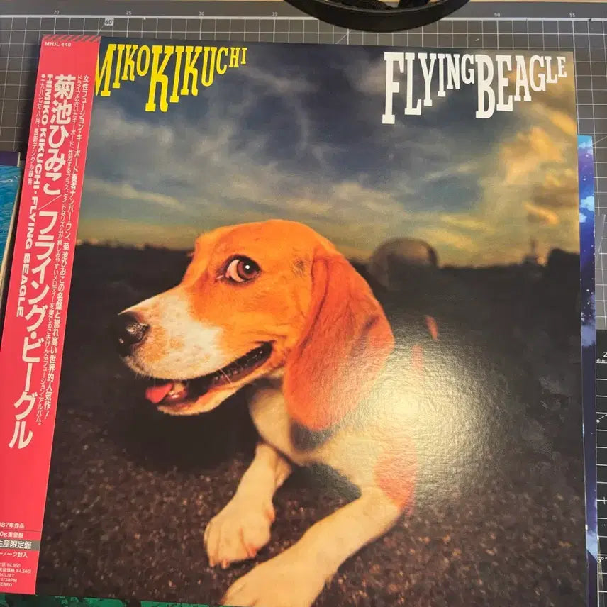 [BUNJANG] Flying Beagle LP Vinyl Record / 플라잉비글 lp