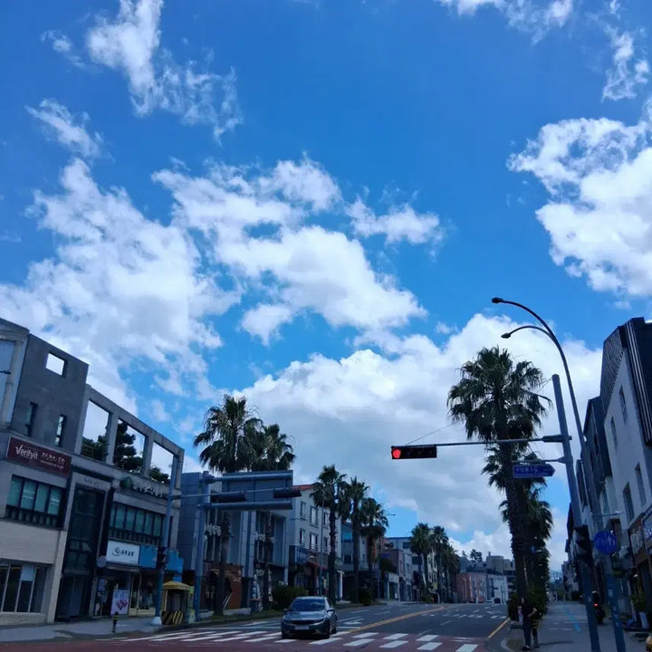 [BUNJANG] Jeju Island Street Scenery Photographs / 제주도 사진 여러장 맑은 하늘과 구름, 야자수, 거리 풍경