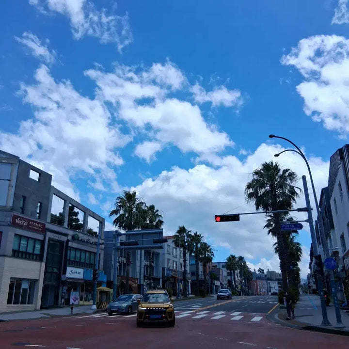 [BUNJANG] Jeju Island Street Scenery Photographs / 제주도 사진 여러장 맑은 하늘과 구름, 야자수, 거리 풍경