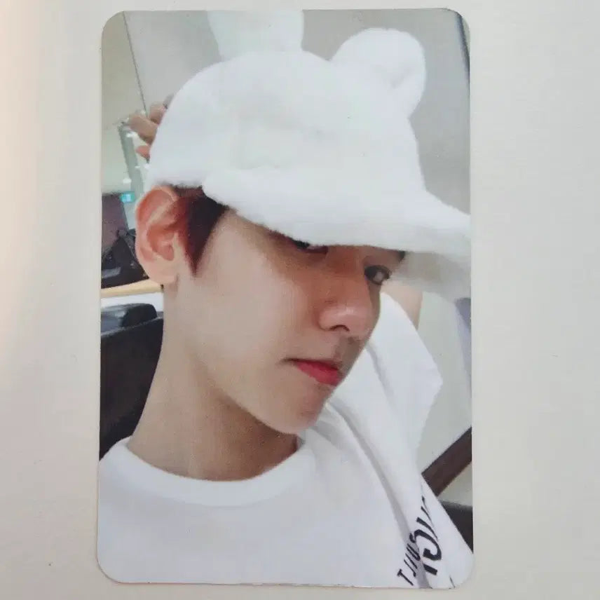 [BUNJANG] EXO Baekhyun BunnyKyun Photocard / 엑소 백현 토끼큥 포토카드 포카 양도