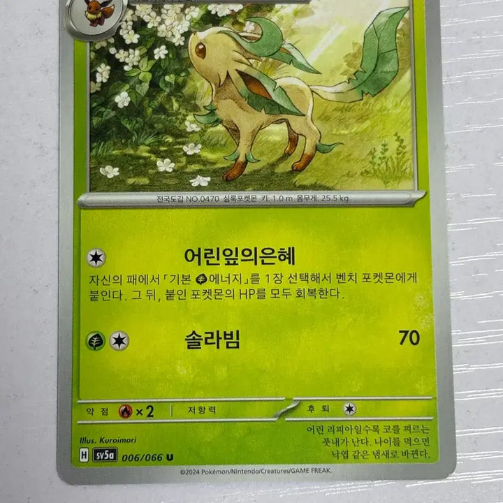 [BUNJANG] Cute Pokemon Card Leafeon / [귀여운 포켓몬카드] 리피아