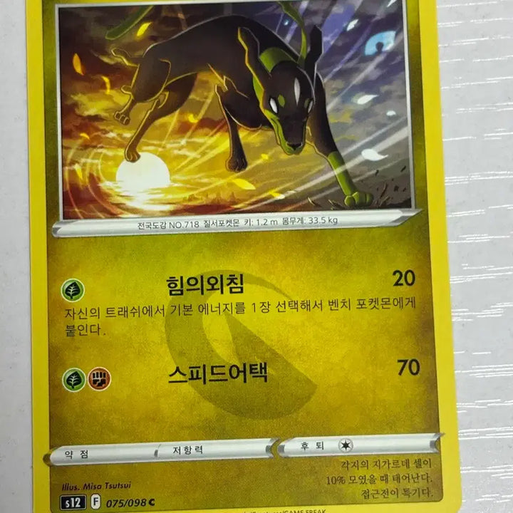 [BUNJANG] Pokemon Card Zygarde / [귀여운 포켓몬카드] 지가르데