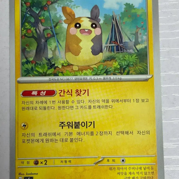 [BUNJANG] Pokemon Card Morpeko / [귀여운 포켓몬카드] 모르페코