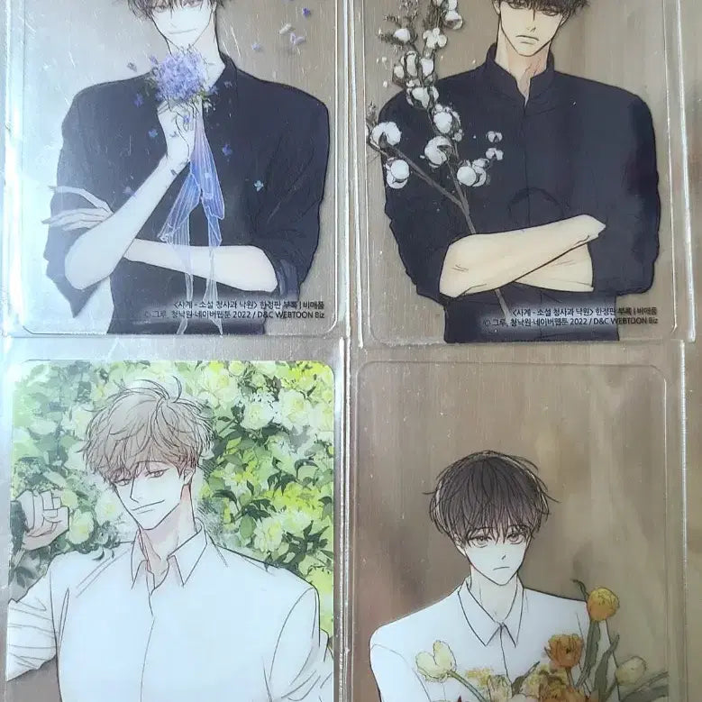 [BUNJANG] Green Apple Paradise Clear Card / 청사과 낙원 클리어 카드