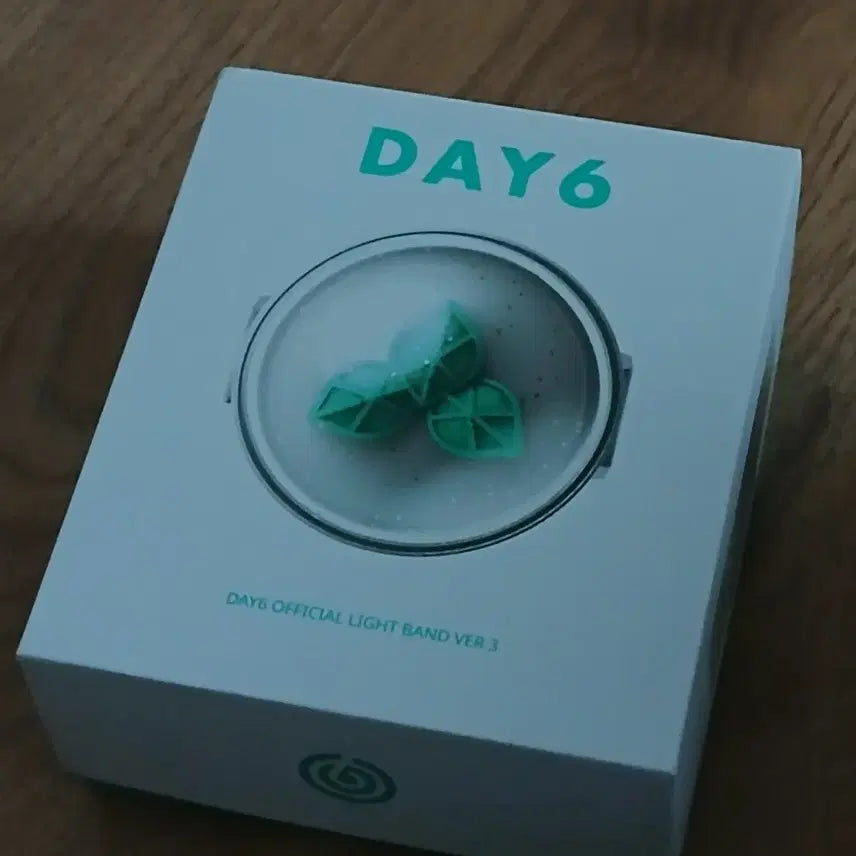 [BUNJANG] Day6 Made Watch Version 3 Official Lightstick / 마데워치 버전3 양도(사용X, 구성 모두O)