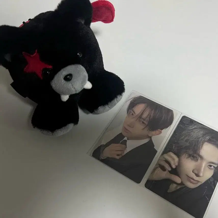 [BUNJANG] Enhypen Heeseung Bambubu Sseungbubu Photocard Bundle Set / 에반 희승 뱀부부 씅부부 양도