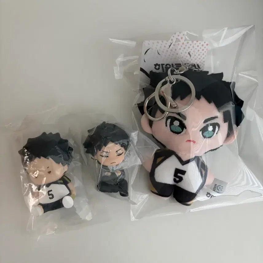 [BUNJANG] Haikyuu!! Akaashi Gacha &amp; Plush Bundle / 하이큐 아카아시 가챠+누이 일괄