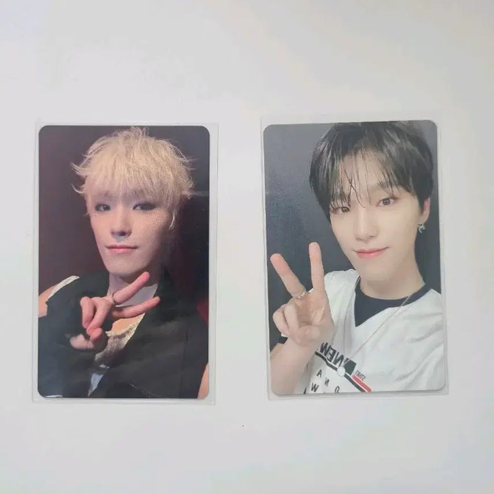 [BUNJANG] Seventeen Dino FML Weverse Shop POB &amp; Falling Flower Photocard Bundle Set / 세븐틴 디노 이 찬 FML 손오공 위버스샵 미공포 &amp;  Falling Flower 폴플 포카 일괄