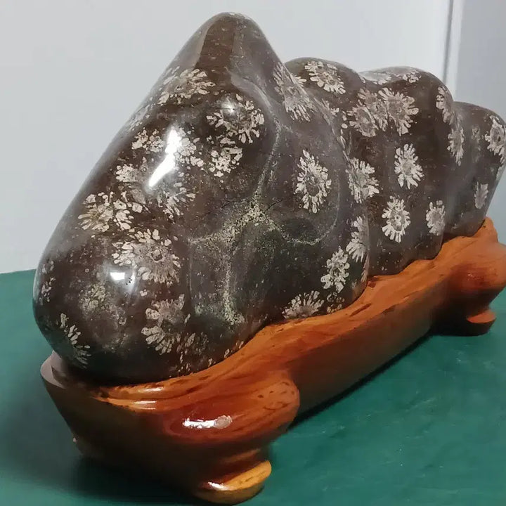 [BUNJANG] Cheongsong Flower Stone (Red Chrysanthemum) / 청송꽃돌(홍국화)