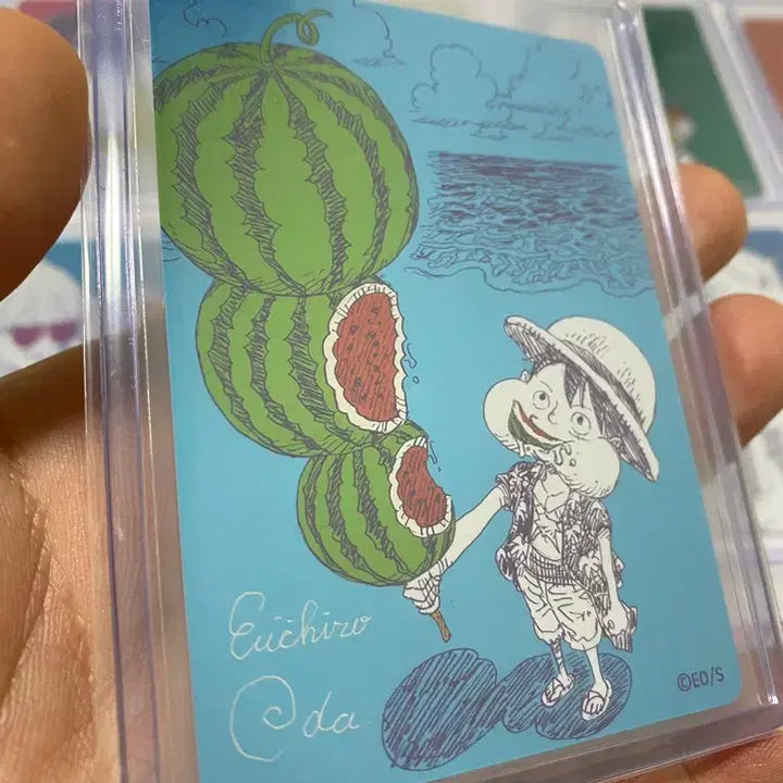 [BUNJANG] Natsukomi 2026 Complete Set 22 Types Trading Cards (Includes Watermelon Luffy) / 나츠코미 2026 프로모 카드 22종(전종) 풀셋 팝니다(수박루피포함)