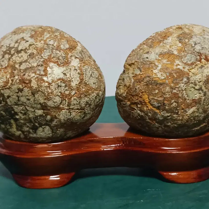 [BUNJANG] Cheongsong Flower Stone (Buldo Hwa) - Ceramic Stand / 청송꽃돌(불도화)