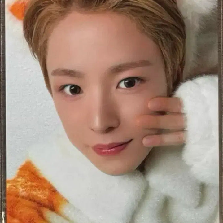 [BUNJANG] NCT WISH Yushi Animal Pajamas Photocard / 유우시 멜론 뮤직웨이브 동물잠옷 포카 엔시티위시 유우시 포카