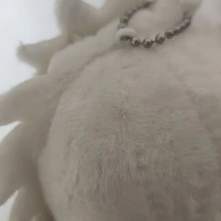[BUNJANG] Gojo Jump Festa Dangju Plush / 고죠 점프페스타 당주 누이