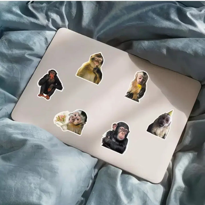 [BUNJANG] Monkey Stickers (40 pcs) / 40장 원숭이맘들 위한 몽키스티커