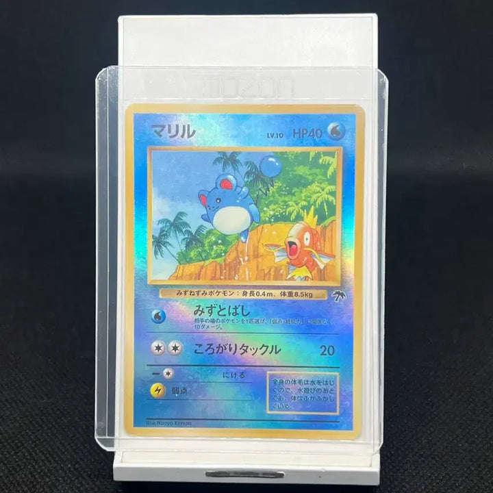 [BUNJANG] Pokemon Card Marill Vintage Promo / 오늘만 할인!!!) 포켓몬카드 일판 마릴 빈티지 프로모