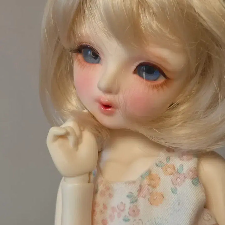 [BUNJANG] Miyadoll Bluebell in Sweet Dream.s Doll / 미야돌 블루벨 인 스윗드림.s 판매