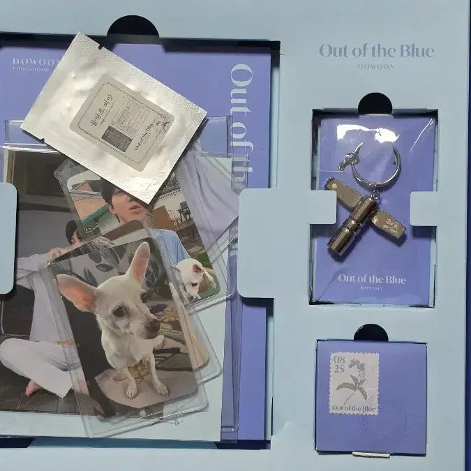 [BUNJANG] DAY6 Dowoon Sudden Limited Edition Full Set / 도운 문득 한정반 풀구성