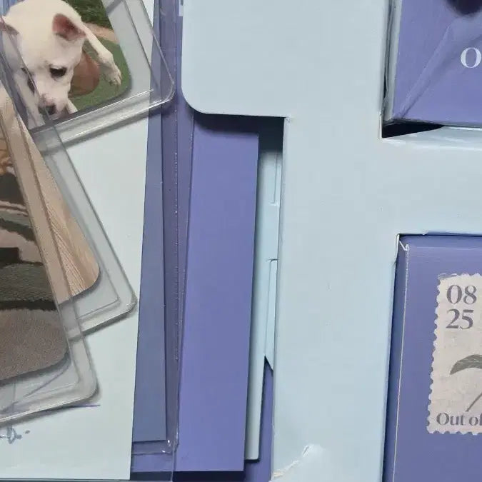 [BUNJANG] DAY6 Dowoon Sudden Limited Edition Full Set / 도운 문득 한정반 풀구성