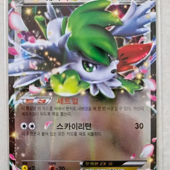 [BUNJANG] 2016 Pokemon Card XY Series Shaymin EX (098/131) / 2016년 고전포켓몬카드 XY시리즈  쉐이미EX(098/131)