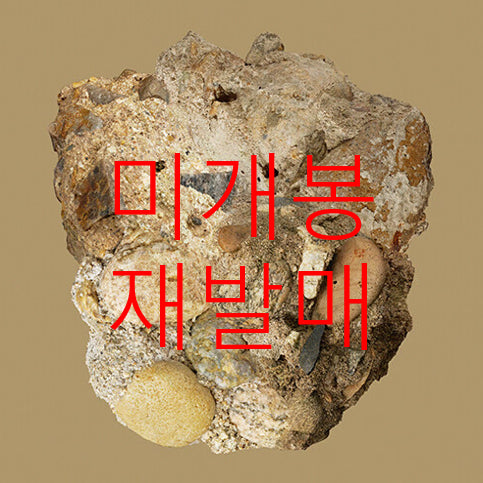 [BUNJANG] Car, The Garden - Bujae (Sealed Repress CD) / [미개봉 재발매] 카더가든 (Car, The Garden) - 부재 (CD)