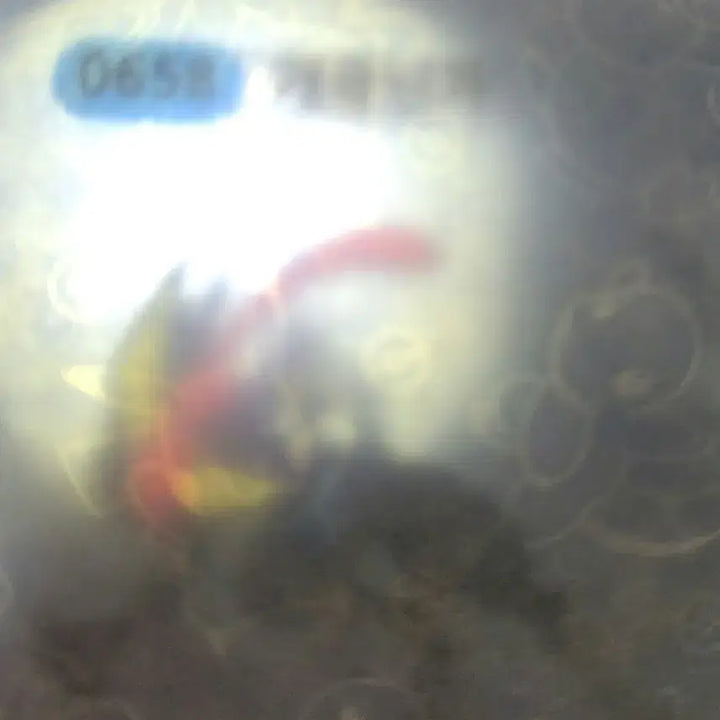 [BUNJANG] Pokemon Sticker Bundle - 5 Stickers (Larvitar, Greninja, Scorbunny, Unown, Staryu) / 포켓몬 띠부씰 5개 일괄 따라큐/개굴닌자/염버니/안농/별가사리