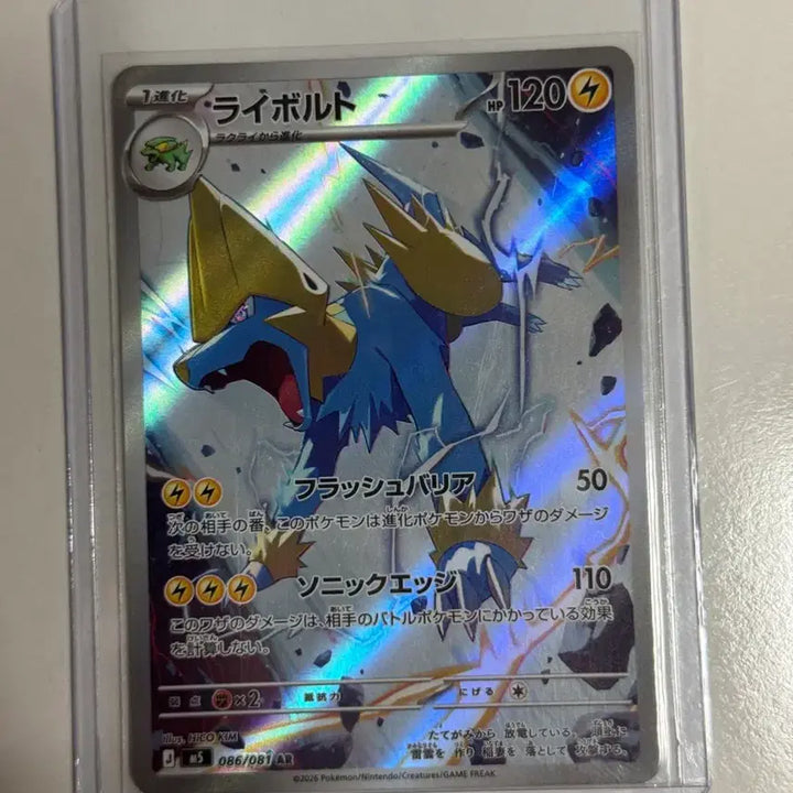 [BUNJANG] Pokemon Card Thunderbolt AR / 포켓몬카드 썬더볼트 ar 일판