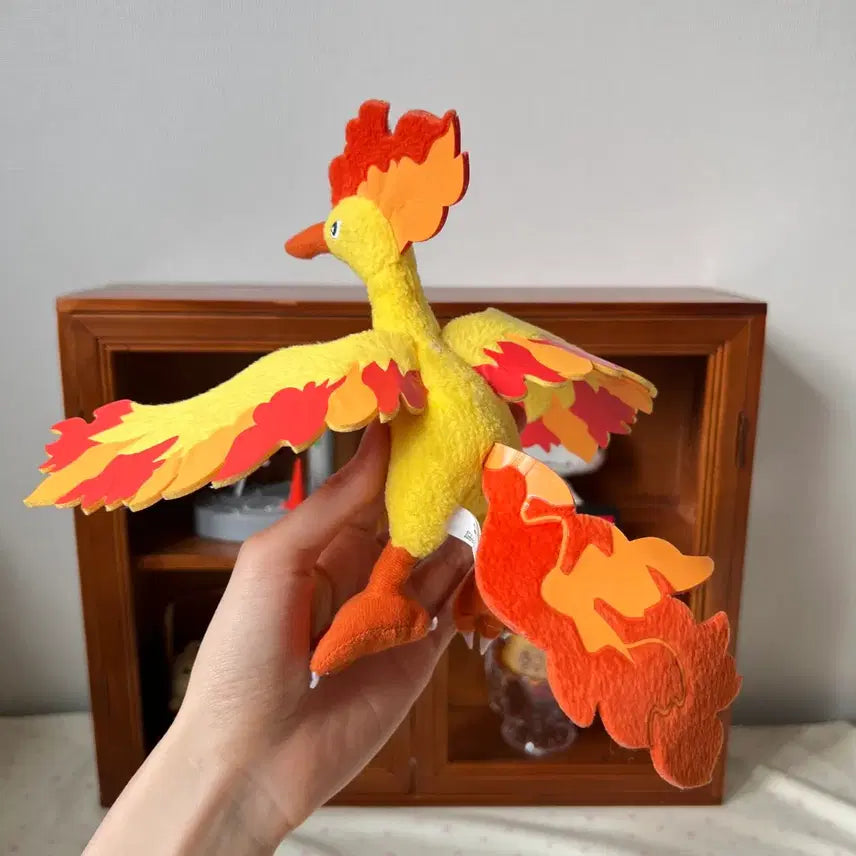 [BUNJANG] Pokemon Fire Doll / 포켓몬스터 파이어 인형