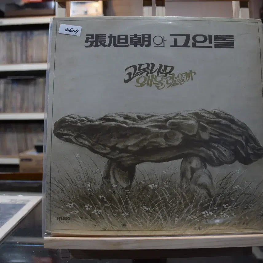 [BUNJANG] Jang Wookjo &amp; Goindol Why Did I Not Know? Vinyl Record (Near Mint) / 장욱조와 고인돌 니어민트 : 왜몰랐을까