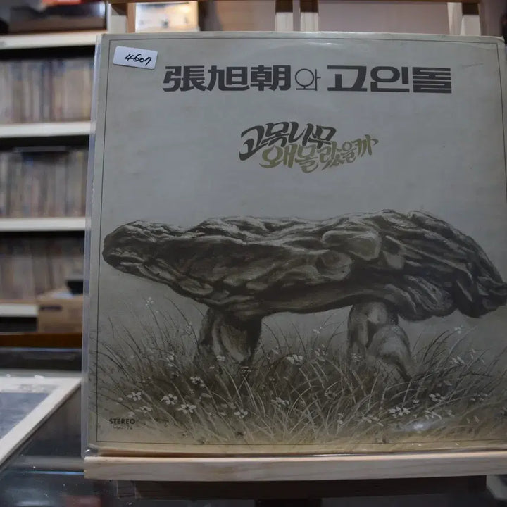 [BUNJANG] Jang Wookjo &amp; Goindol Why Did I Not Know? Vinyl Record (Near Mint) / 장욱조와 고인돌 니어민트 : 왜몰랐을까