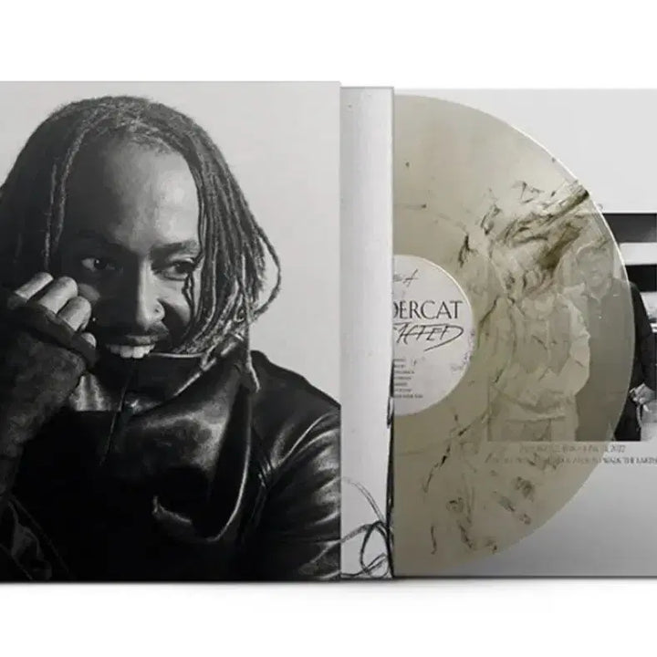 [BUNJANG] Thundercat Distracted Smoke Marble LP Vinyl / 썬더캣 thundercat- distracted 스모크 마블 Ip 바이닐