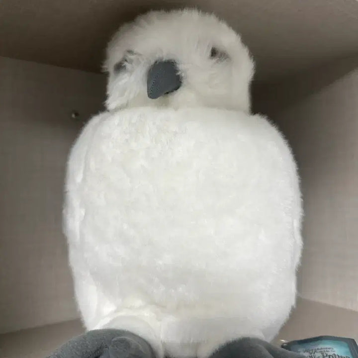 [BUNJANG] Universal Studios Japan Harry Potter Hedwig Sound Plush Hand Puppet / USJ 유니버설 스튜디오 재팬 해리포터 헤드위그 사운드 봉제인형 / 핸드퍼펫