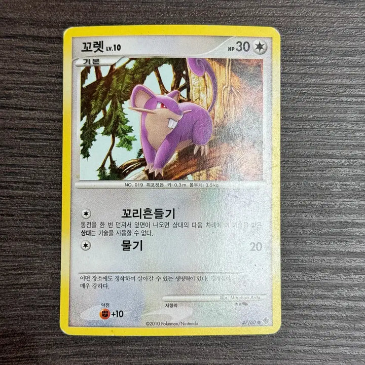 [BUNJANG] Pokemon Card Rattata Lv.10 / 포켓몬카드 꼬렛 판매 4-C69