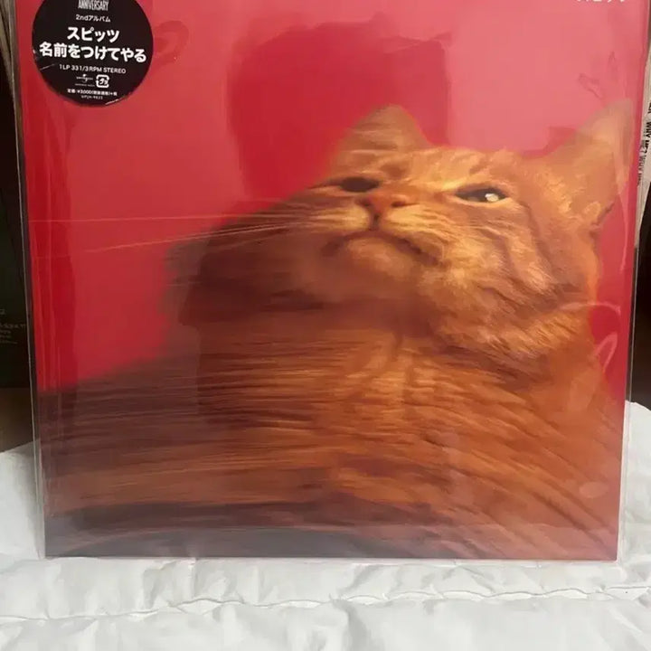 [BUNJANG] Spitz 2nd Album 30th Anniversary Edition LP / 스핏츠 2집 LP